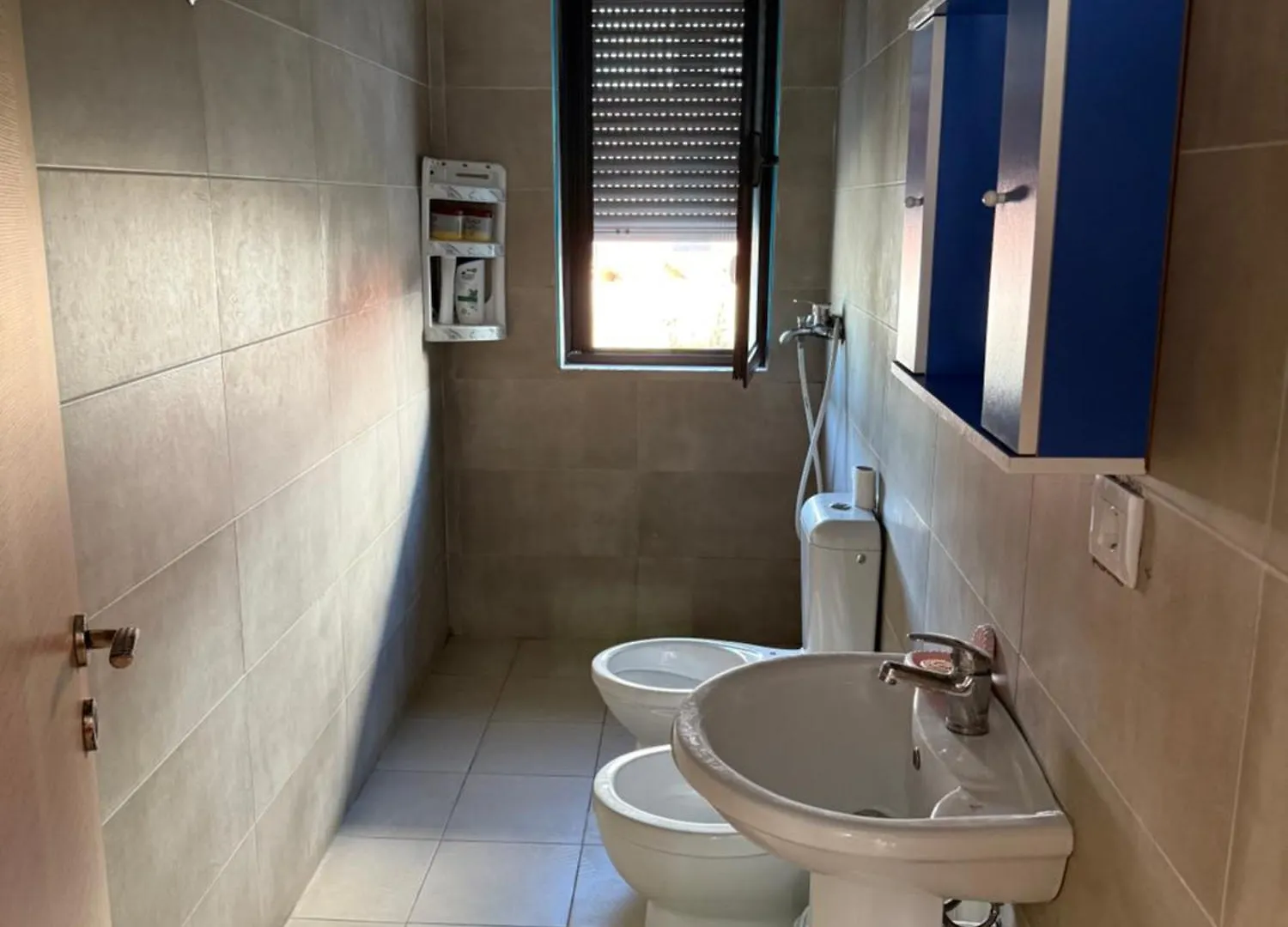 Nene Tereza Airport Apartment Valjiosi 0*,